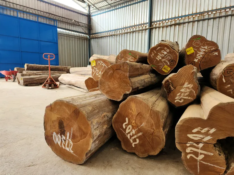 Teak Wood Logs